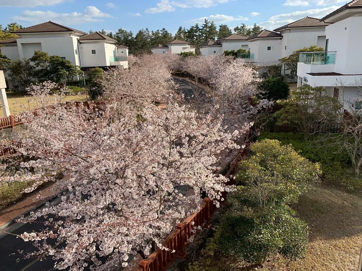 Jeju Raon Private Town Hotel South Korea